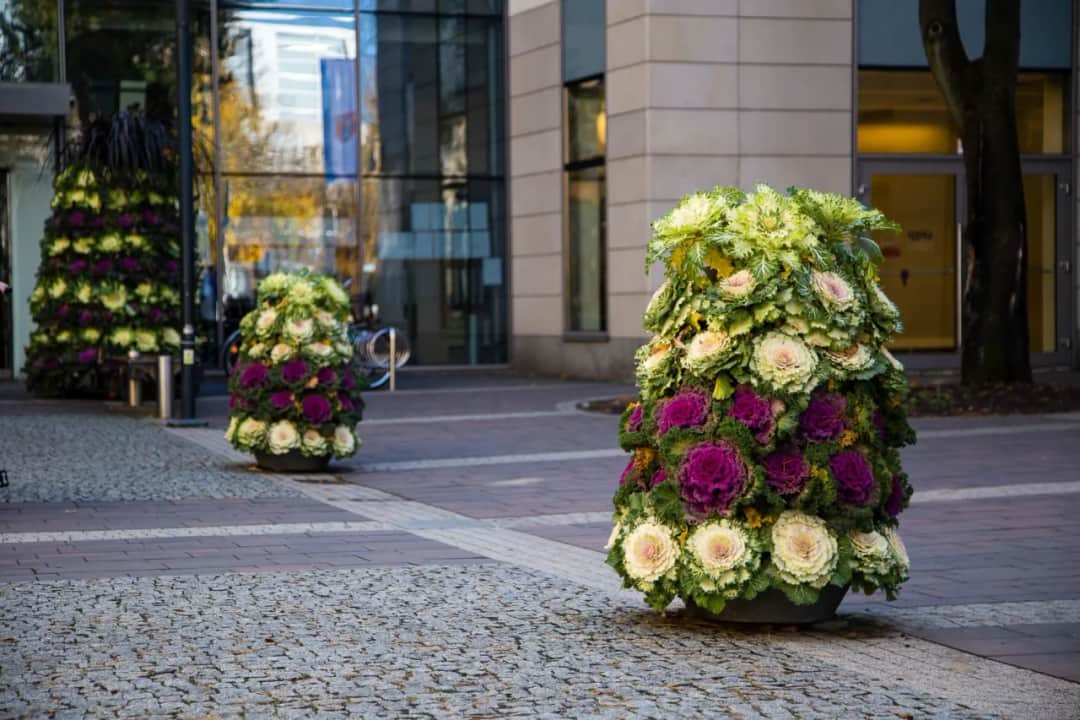 Kwietnik kaskadowy jak zrobić - proste kroki do pięknej aranżacji